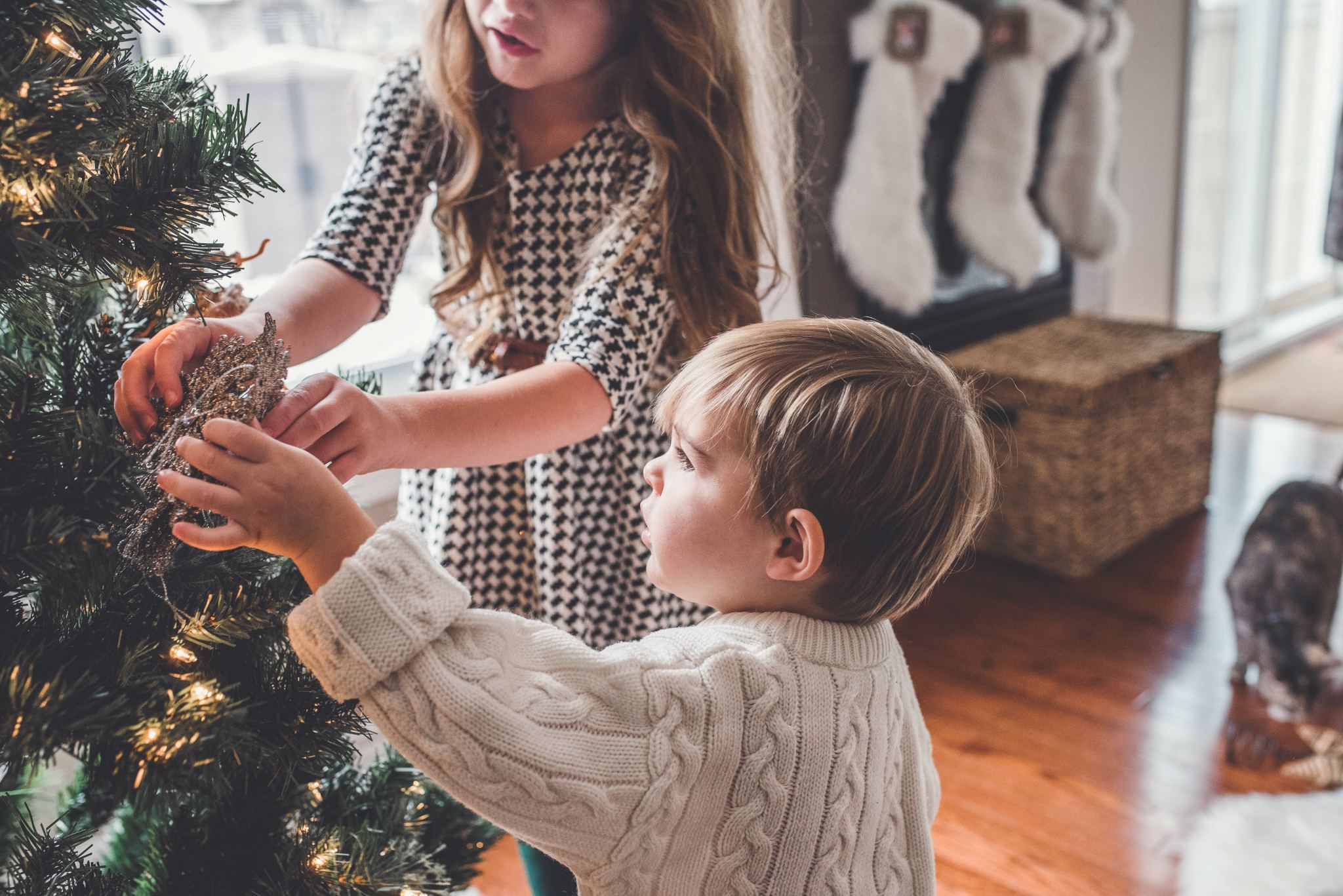 Little boy and girl hanging ornaments on Christmas tree