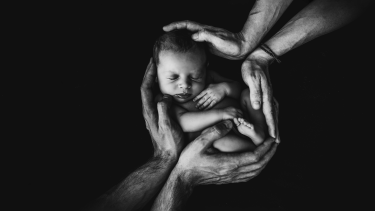 Baby Being Held Ultrasound